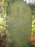 image of grave number 504754